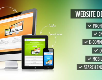 Why Choose the Professional Web Design Company?